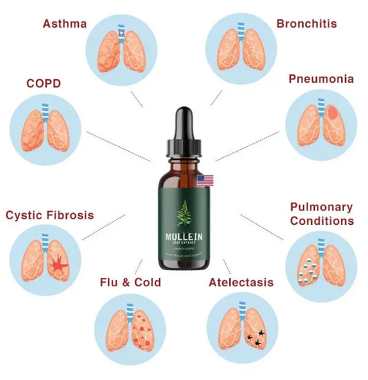 Natural Lung Cleanse Supplement – Mullein & Chlorophyll Formula