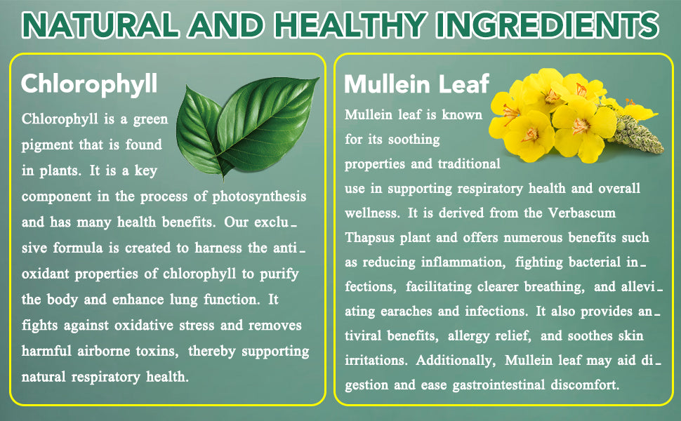 Mullein Chlorophyll Lung Support Cleanse Soothe and Breathe Naturally