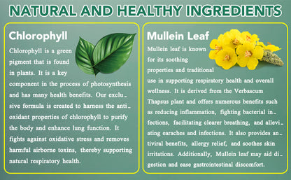 Mullein Chlorophyll Lung Support Cleanse Soothe and Breathe Naturally